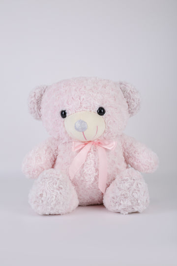 Dreamie Cute Bear Plush Toy